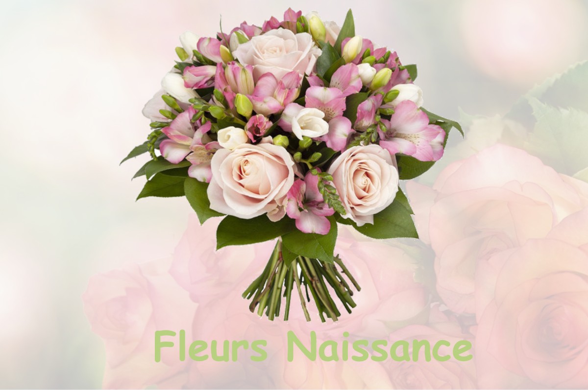 fleurs naissance DISSAY-SOUS-COURCILLON