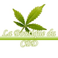 LA BOUTIQUE DU CBD DISSAY-SOUS-COURCILLON 
